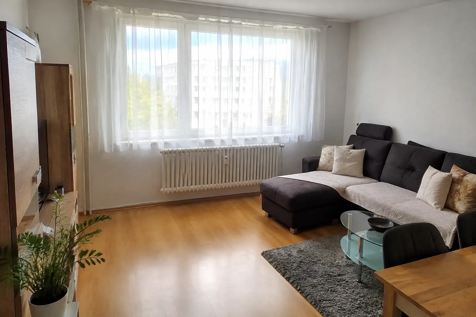 Freies Fenster und unverbauter Heizkörper in einem kleinen Wohnzimmer